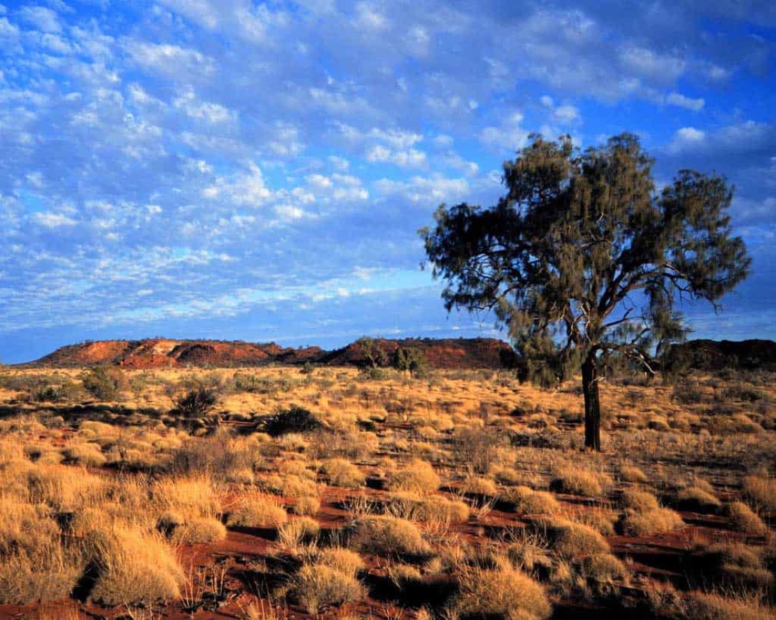 Central Queensland outback — Yiman country